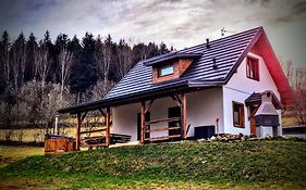 Leśna Chata domek z balią